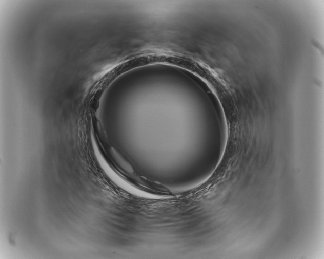 X0000094221303200710261222