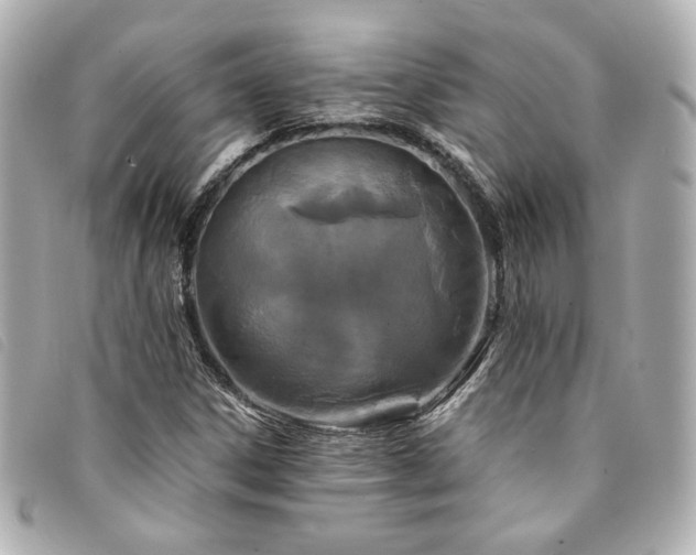 X0000094221306200710261222