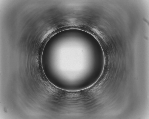 X0000094221307200710261222