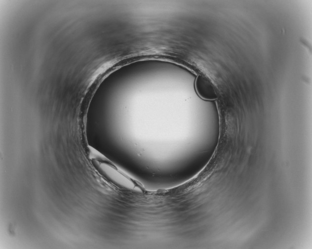 X0000094221308200710261222
