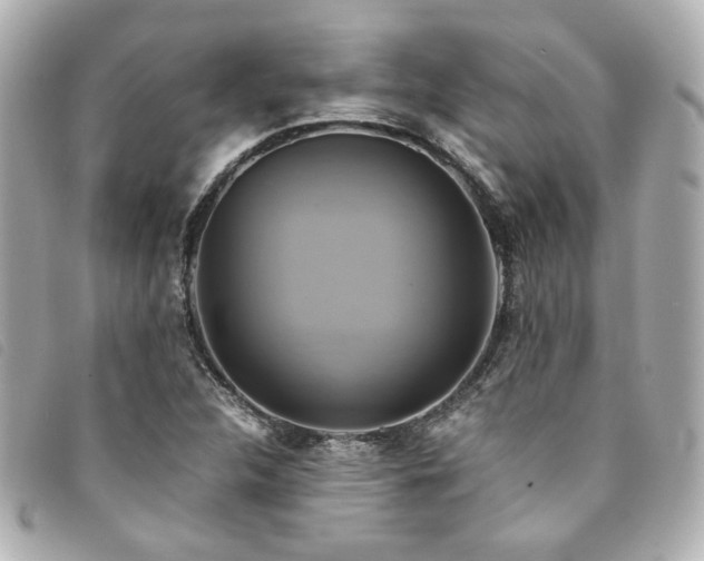 X0000094221312200710261222