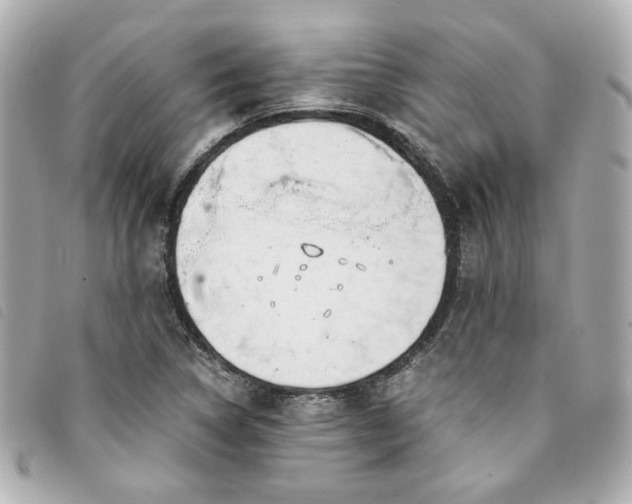 X0000094221314200710261222