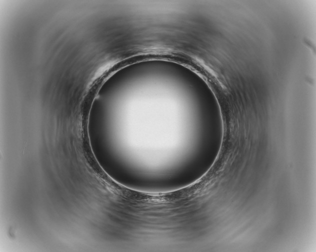 X0000094221315200710261222