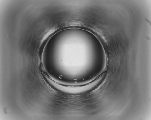 X0000094221317200710261222
