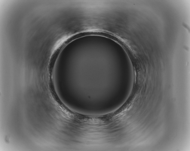 X0000094221319200710261222