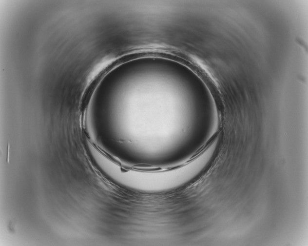 X0000094221320200710261222