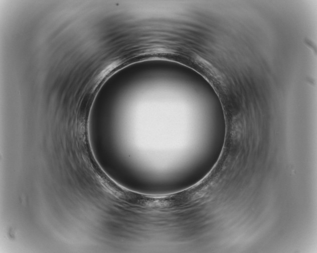 X0000094221321200710261222