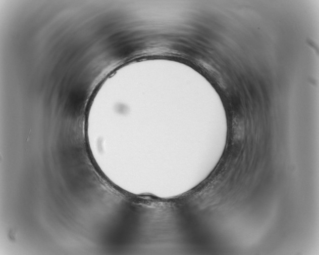 X0000094221322200710261222