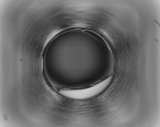 X0000094221323200710261222