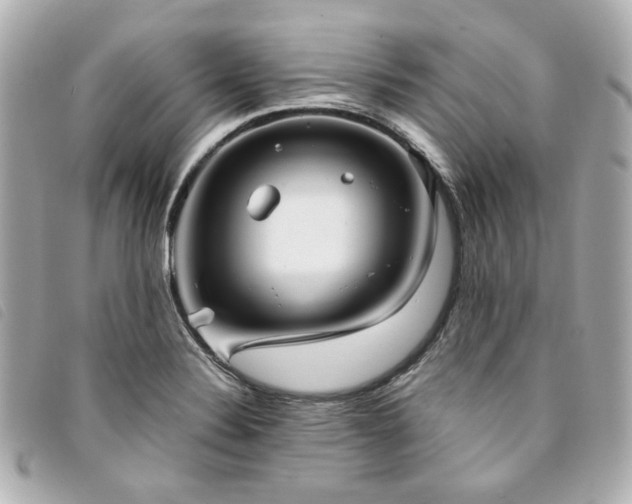 X0000094221324200710261222
