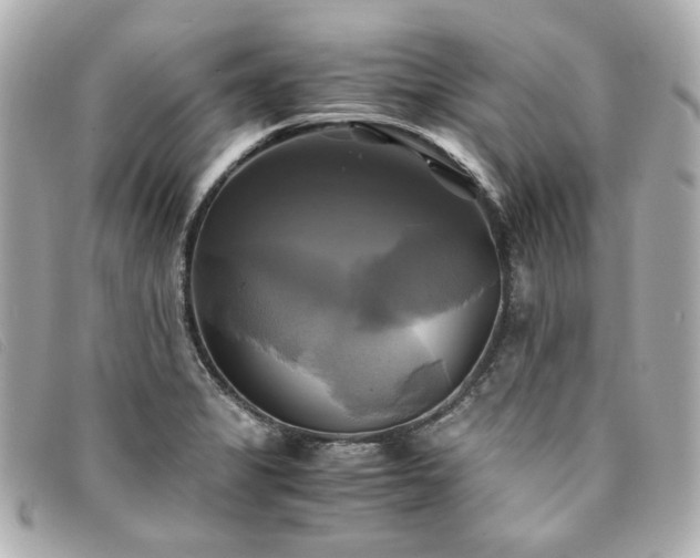 X0000094221325200710261222