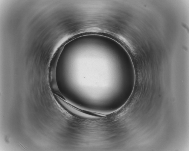 X0000094221326200710261222