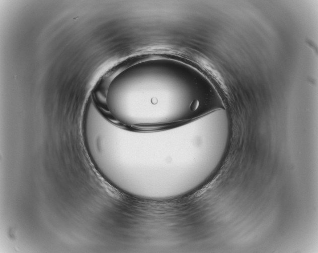 X0000094221328200710261222