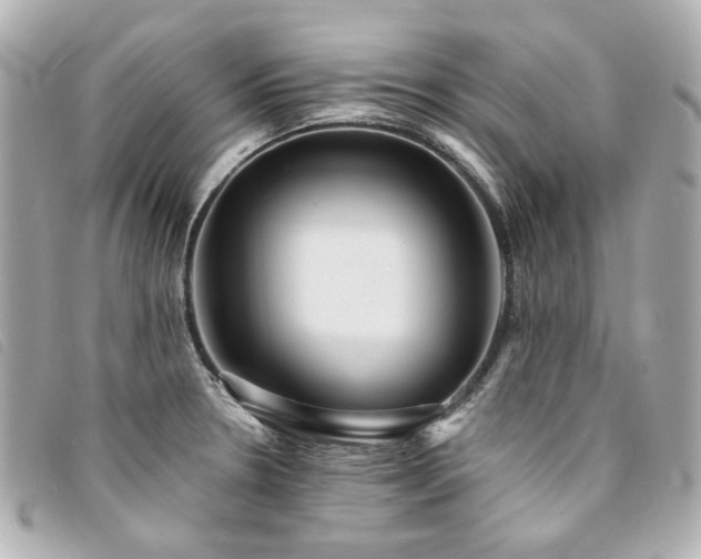 X0000094221330200710261222