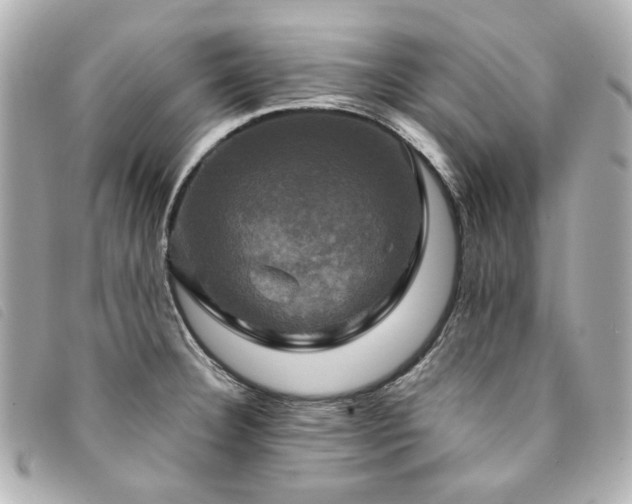 X0000094221332200710261222