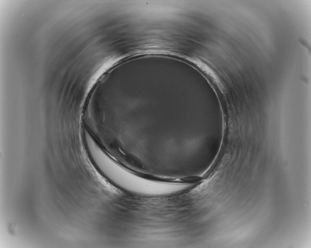 X0000094221333200710261222