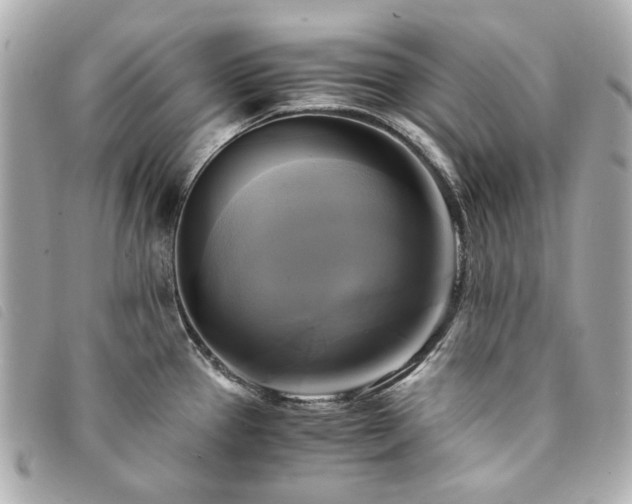 X0000094221337200710261222