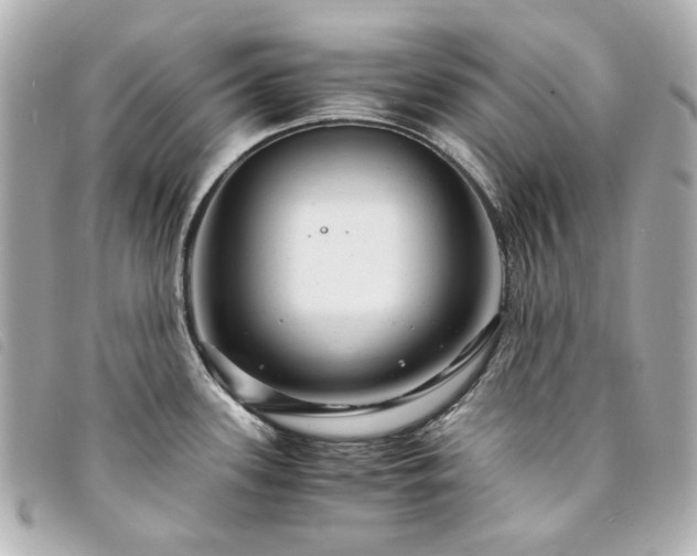 X0000094221339200710261222