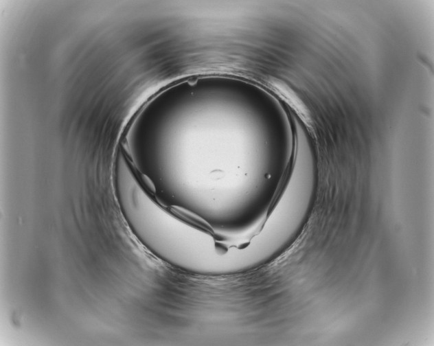 X0000094221340200710261222