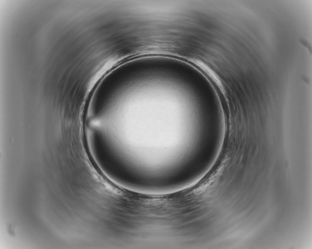 X0000094221341200710261222