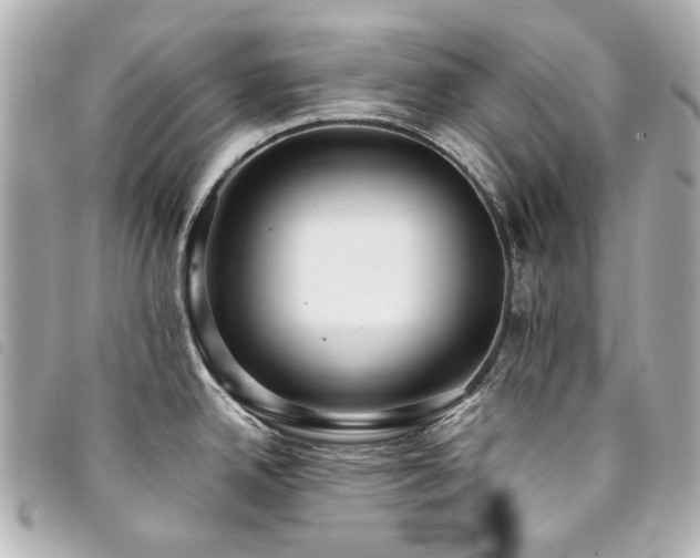 X0000094221342200710261222