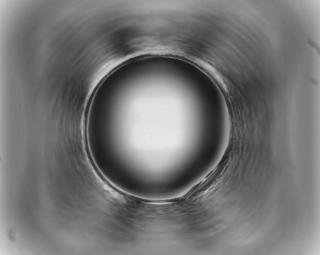 X0000094221343200710261222