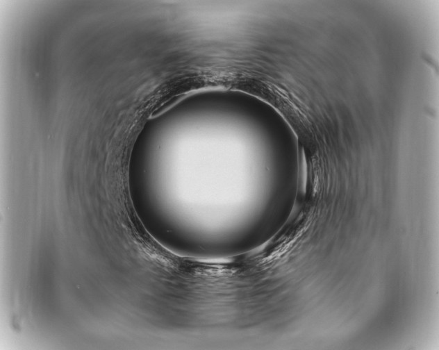 X0000094221345200710261222