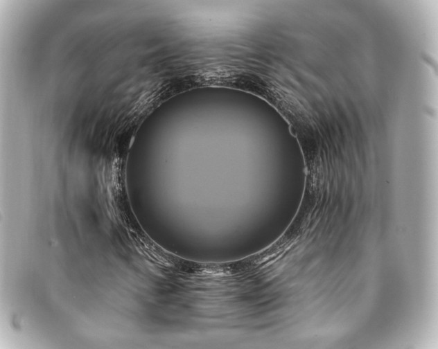 X0000094221346200710261222