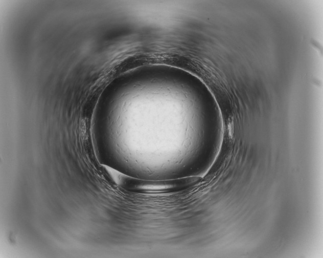 X0000094221347200710261222