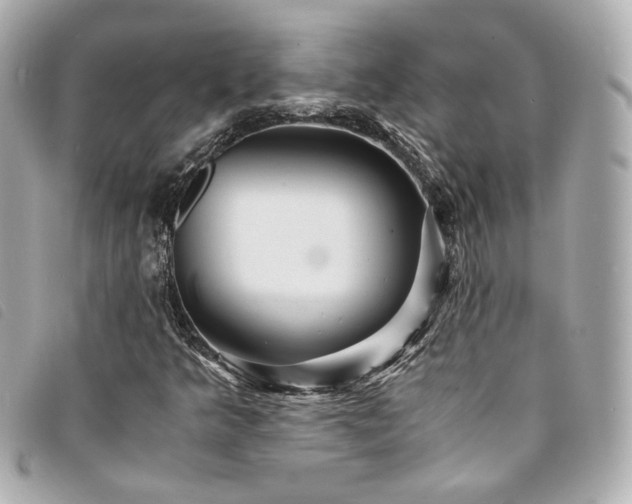 X0000094221349200710261222