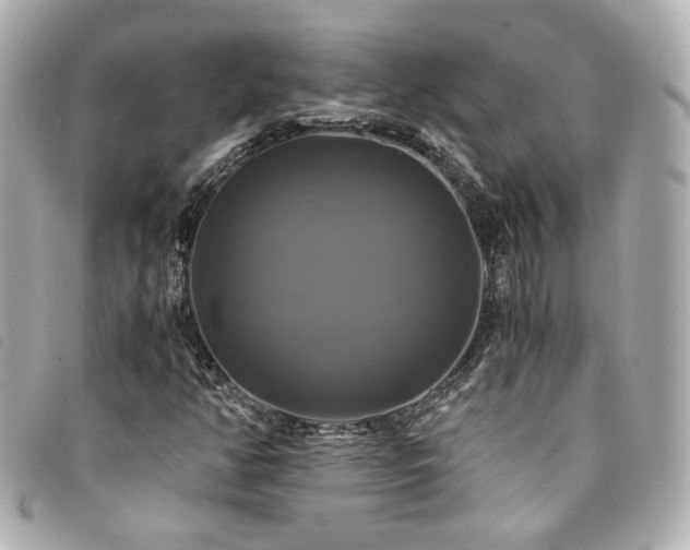 X0000094221350200710261222