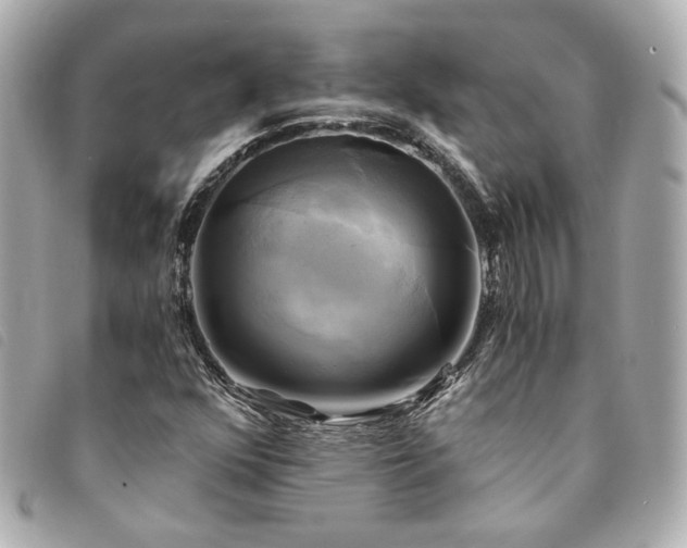 X0000094221352200710261222