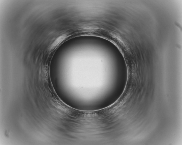 X0000094221354200710261222