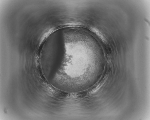 X0000094221357200710261222