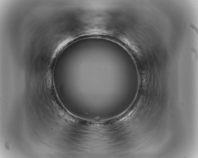 X0000094221358200710261222