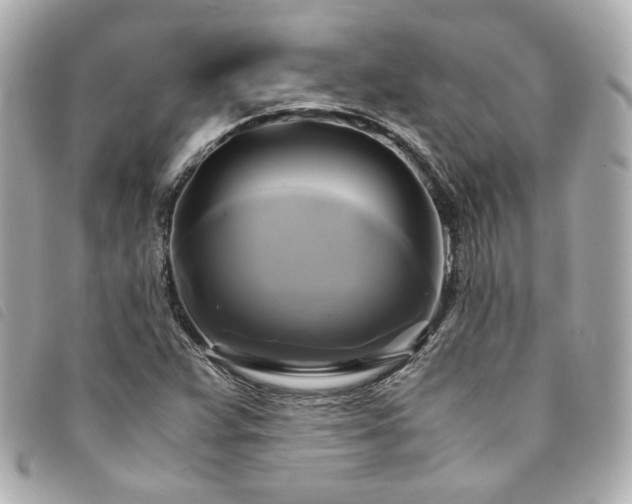 X0000094221359200710261222