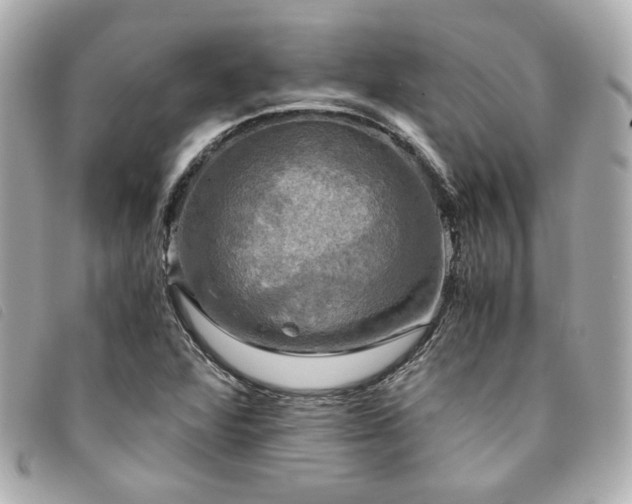 X0000094221360200710261222