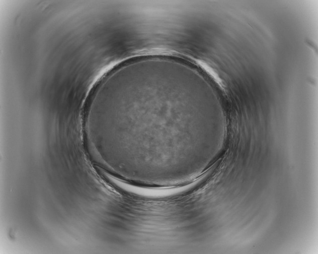 X0000094221364200710261222