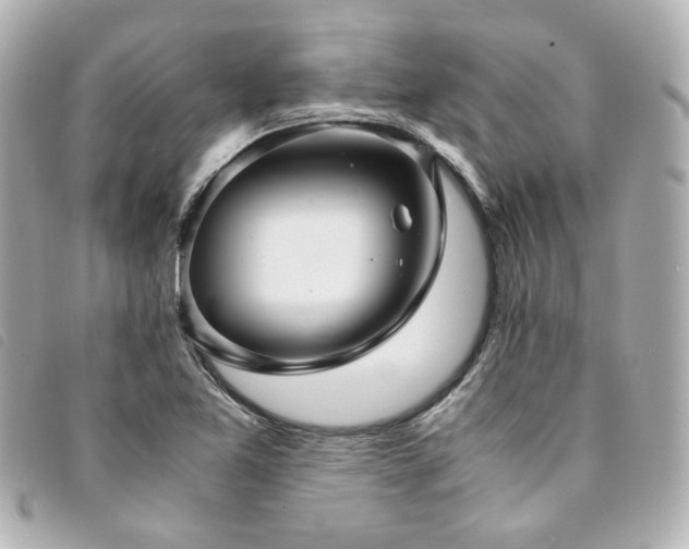 X0000094221365200710261222