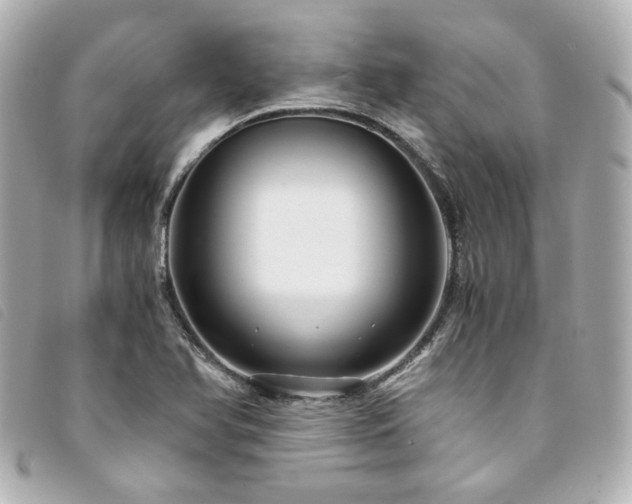 X0000094221366200710261222