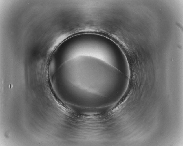 X0000094221367200710261222