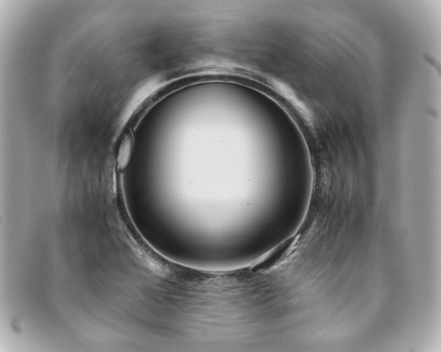X0000094221368200710261222