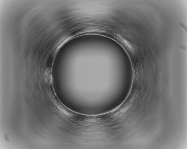 X0000094221369200710261222