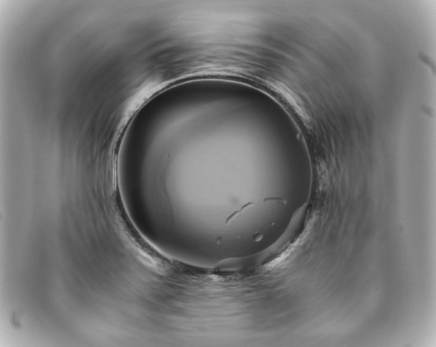 X0000094221371200710261222