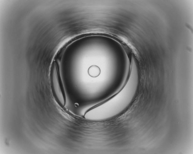 X0000094221372200710261222