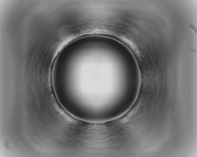 X0000094221374200710261222