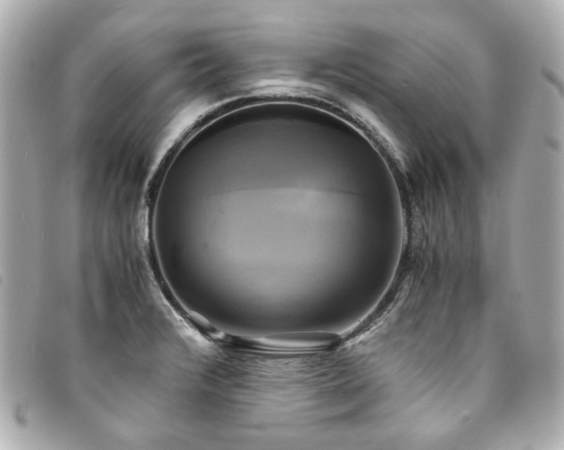 X0000094221376200710261222