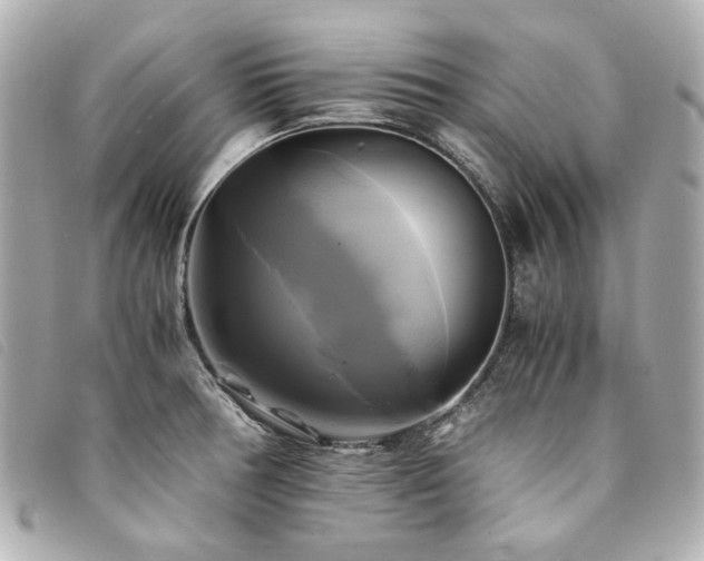 X0000094221378200710261221