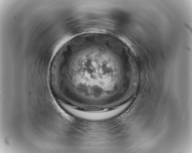 X0000094221379200710261221