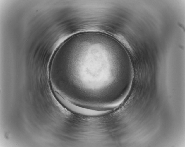 X0000094221380200710261221